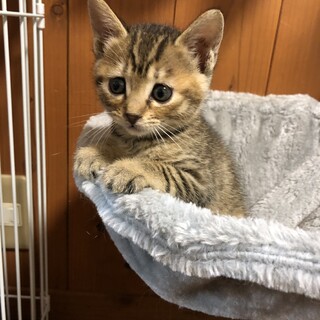 ありがとうございました