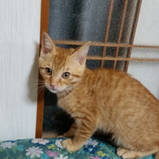 3月23日生まれの男の子です。