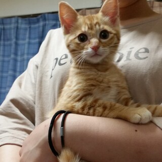 3月23日生まれの男の子です。