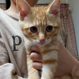 3月23日生まれの男の子です。