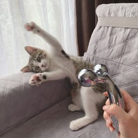 モカちゃん