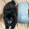 アクシズ