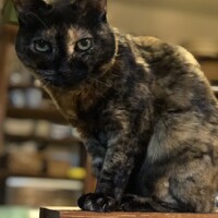 ひとみ