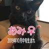 里親決定しました。 サムネイル2