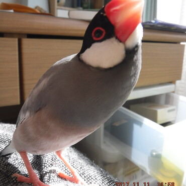 すごいくねってる・・・(ﾟДﾟ)