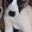  多数の応募の為 募集中止致します。