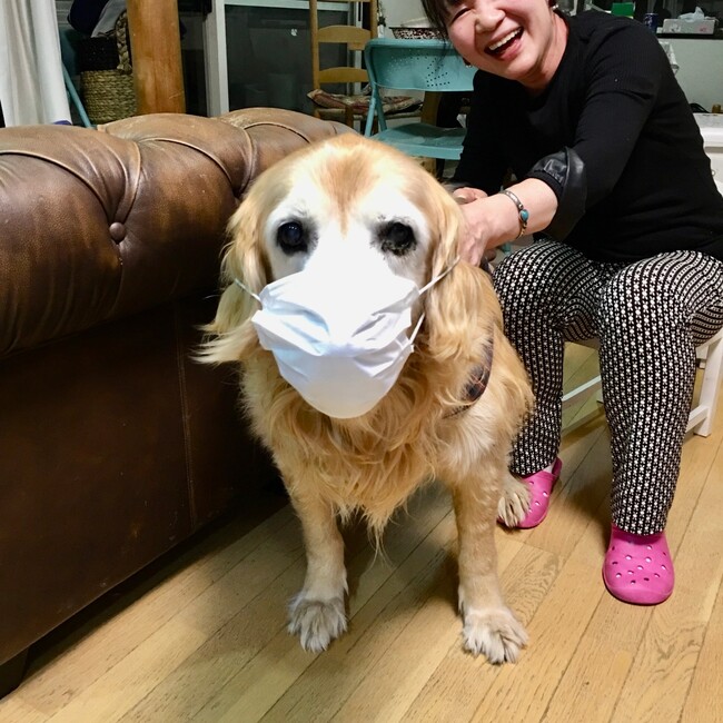 yasuko5656のカバー写真