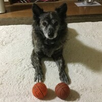 モナカ