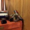 もりぞう3