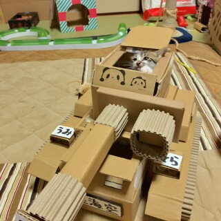 新しいお家募集中です（４）