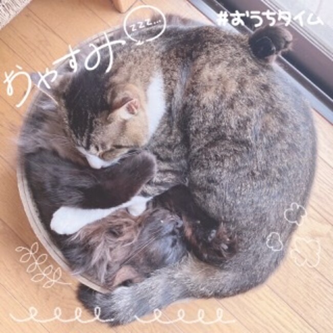 Mexicanのカバー写真