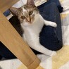 の写真