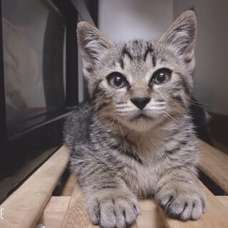 最後まで愛してね