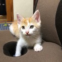 4月中旬生まれ　オス