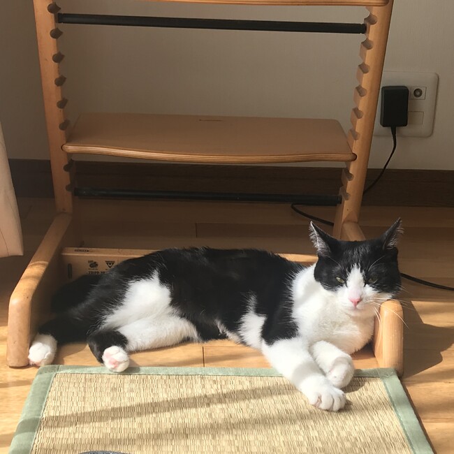 こまちよのカバー写真