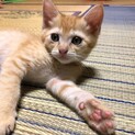 ４月中旬生まれ　メス
