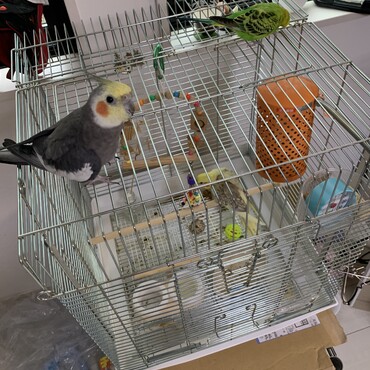 なんかこの中に知らないヤツがいるんですよ
