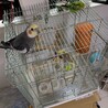 なんかこの中に知らないヤツがいるんですよ