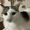 ありがとうございました