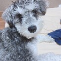お願いします！