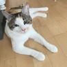 むく