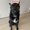 2歳になりました