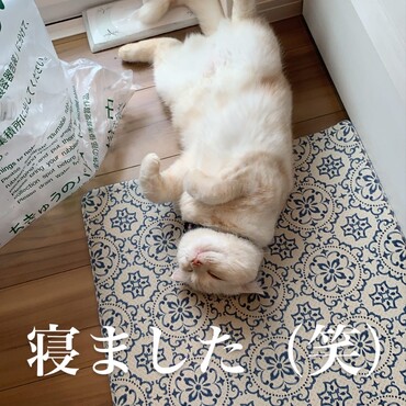 の写真