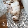 の写真