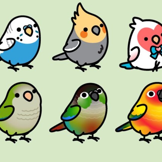 サイアルのカバー写真