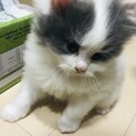 メッセージ頂いた方の中から決定します