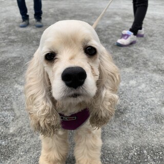 ご応募多数につき、募集を停止させていただきます。