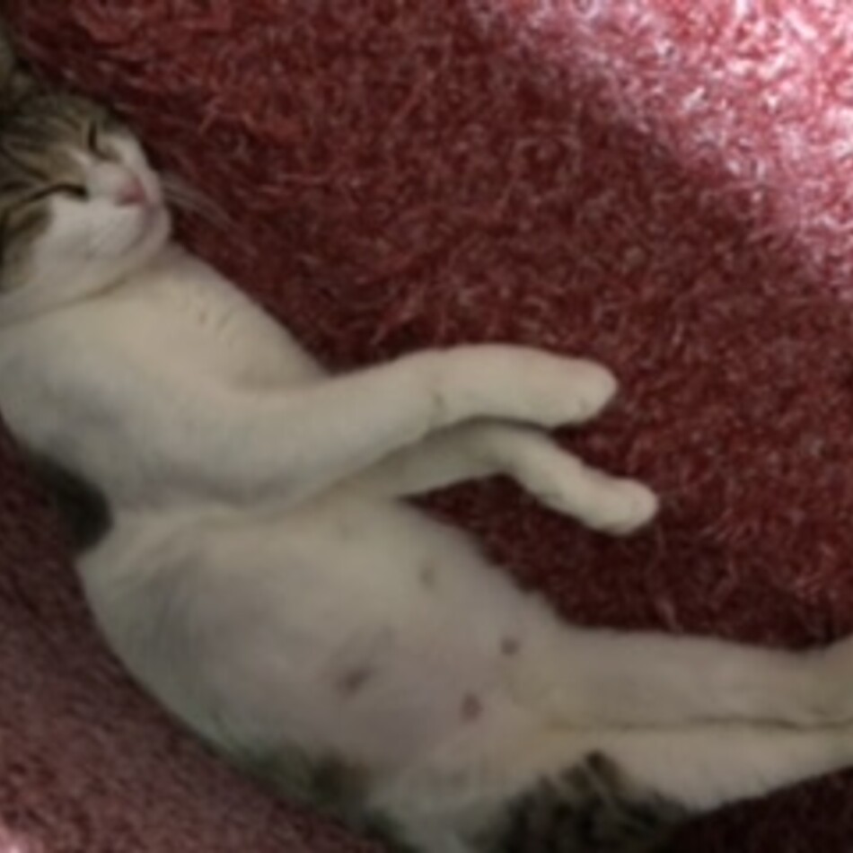 うみのカバー写真