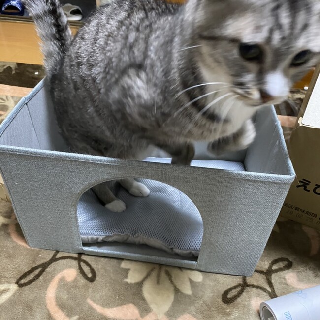 akiaknのカバー写真