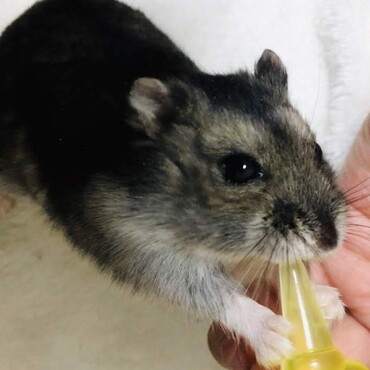 の写真