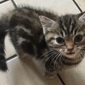 お留守番の少ない方で！