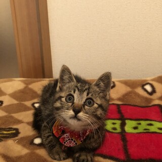 ありがとうございました★可愛らしい　愛花ちゃん