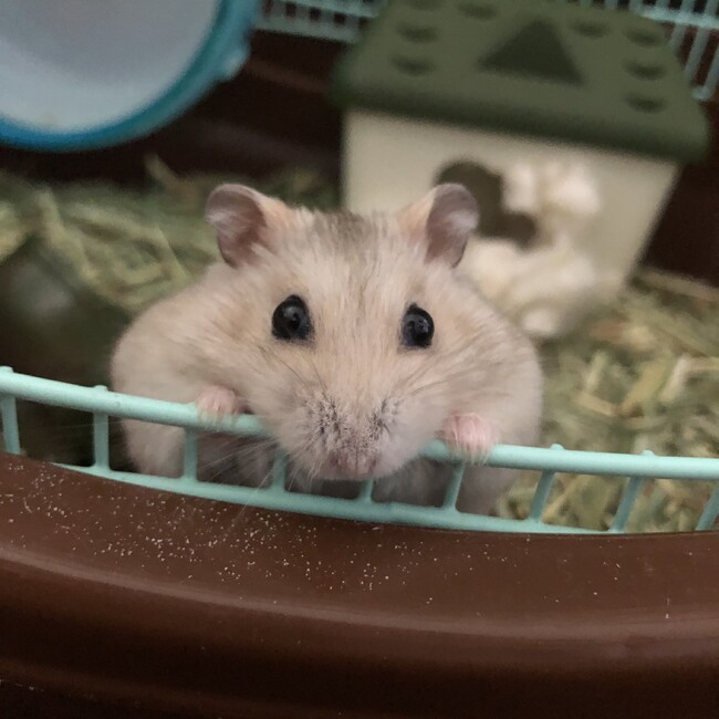 きゅんよるのカバー写真