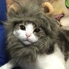 黒猫ライリー