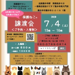 藤井寺保護猫譲渡会