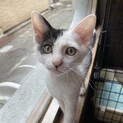 甘えん坊でやんちゃでとにかく賑やかな男の子　ぶぶ君