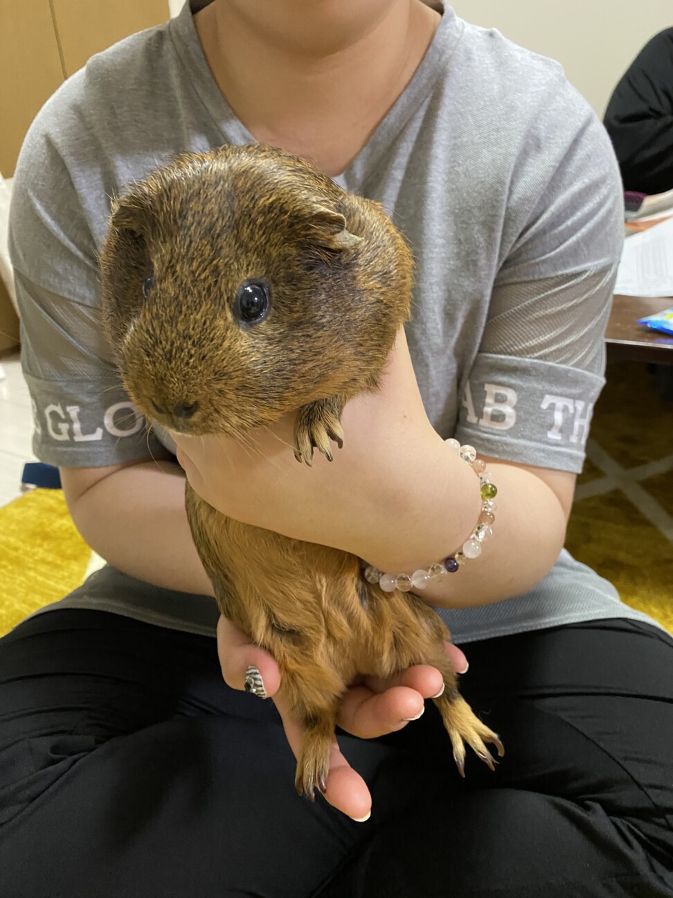 モルちゃん2匹で飼ってくれる方大募集！ サムネイル3
