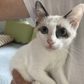 ビビりだけど優しいシミちゃん
