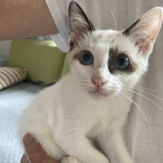 ビビりだけど優しいシミちゃん