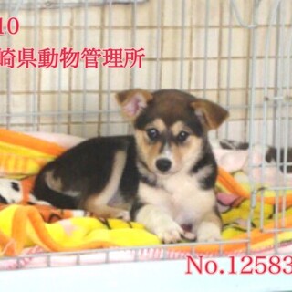 ありがとうございました。