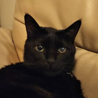 ヤンチャで元気なクル助くん☆動画あります