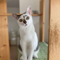愛嬌120%！抜群の性格の良さが売りです