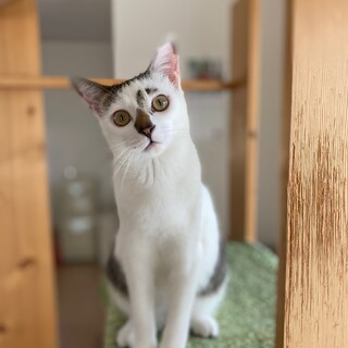 愛嬌120%！抜群の性格の良さが売りです