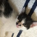 ヤンチャ盛りです。