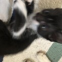 元気でおてんばな女の子です。