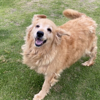 ☆家族が決まりました！！☆